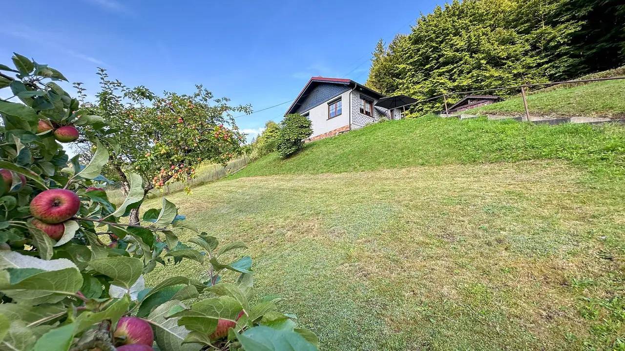 Ferienhaus für 2 Personen (40 m²) in Langenbach in Schleusegrund, Hildburghausen und Umgebung