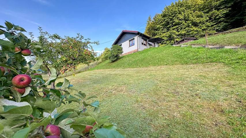 Ferienhaus für 3 Personen, mit Garten in Schleusegrund - 3
