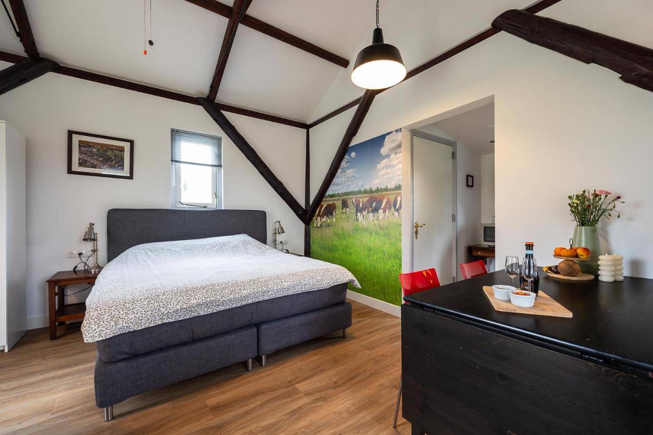 Studio Hooischuur Alkmaar/Bergen in Bergen (Hollande-Septentrionale), Hollande-Septentrionale - Côte de la mer du Nord