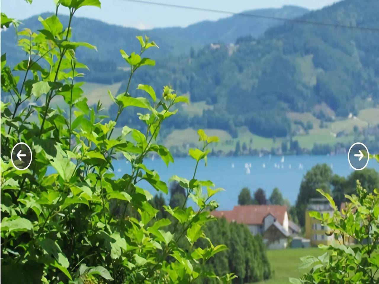 Vakantiehuis Attersee bij Wandelpaden, foto 7