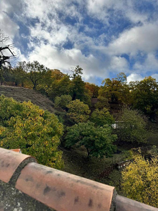 Apartamento de vacaciones para 7 personas, con balcón en Valle del Genal - 3