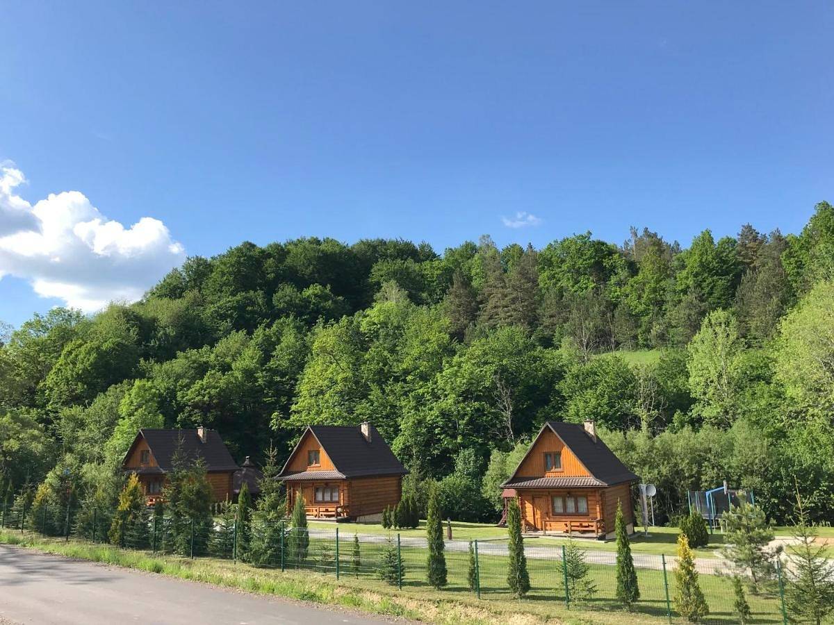 Domki Góralskie Niezapominajka w Bieszczadach in Karpaty (Polska)
