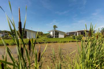 Ferienhaus für 6 Personen in Südholland