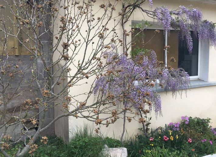 Gîte pour 4 personnes, avec jardin ainsi que jacuzzi et terrasse