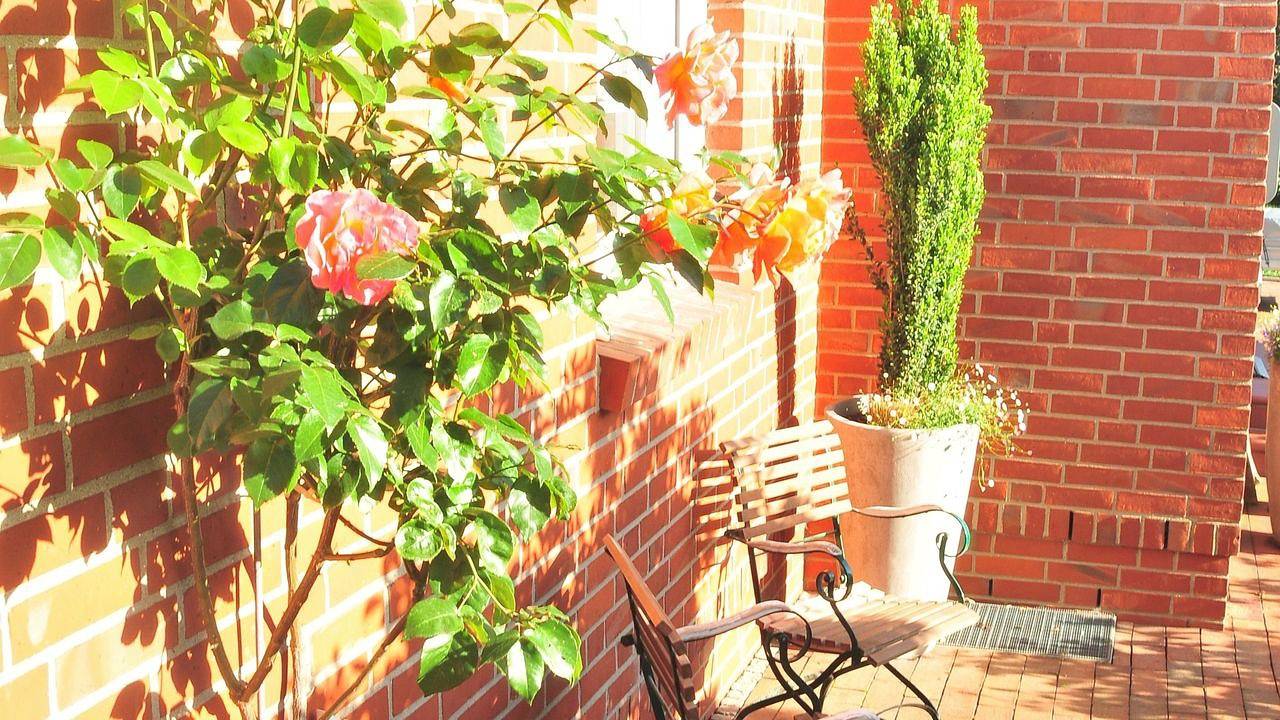 Ganze Ferienwohnung, Ferienwohnung für 4 Personen (53 m²) in Loose in Loose, Rendsburg-Eckernförde