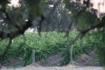 Holiday Home for 2 People in Shire of Campaspe, Victoria, Photo 1