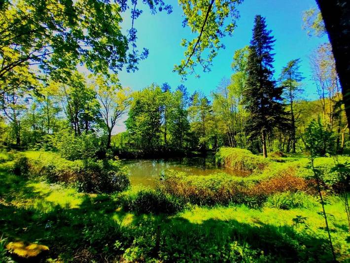 Gîte pour 2 personnes, avec vue sur le lac et jardin ainsi que vue et terrasse dans Aye - 2