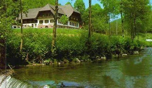 Hotel Restaurant Ochsenwirtshof in Bad Rippoldsau-Schapbach, Mittlerer Schwarzwald