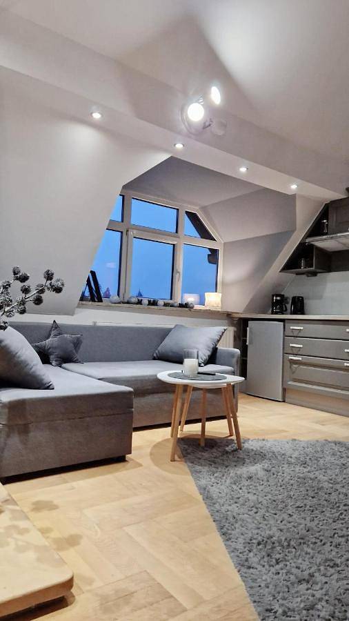 Cały apartament, Maisonette in Krynica-Zdrój, Karpaty (Polska)