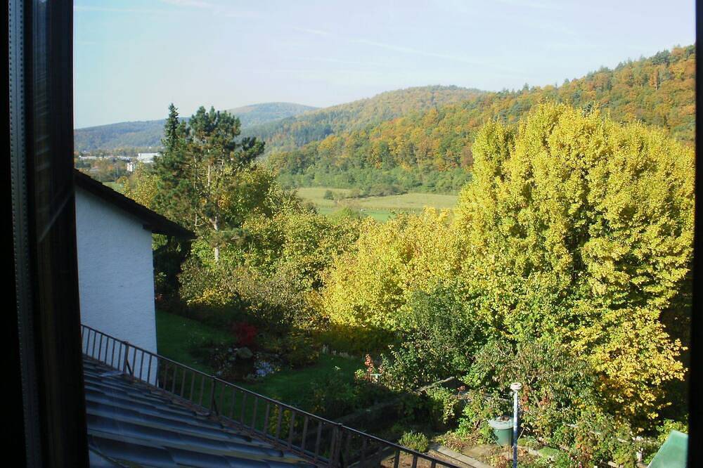 Ganze Wohnung, Sehr ruhige, gemütliche und sehr gut eingerichtete Ferienwohnung im Dachgeschoss in Gemünden am Main, Maindreieck