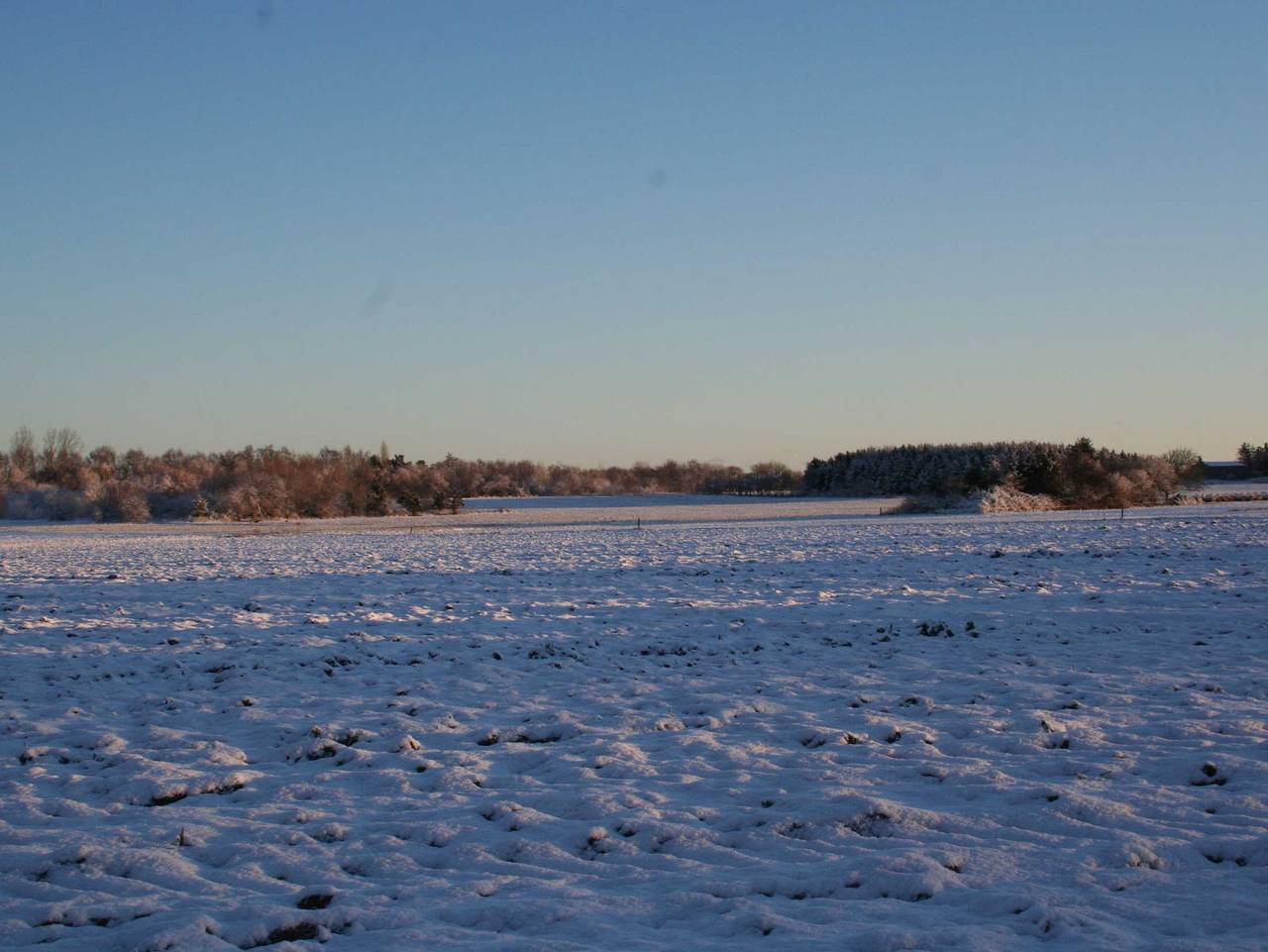 Ganze Ferienwohnung, Ferienhaus Thiel Eg - Ferienhaus Thiel Eg in Dierhagen Strand, Dierhagen