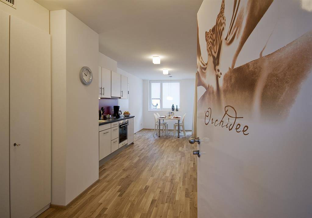 Apartamento de férias inteiro, , Orchidee, 39 m2 in Rätikon mountain range, Brand