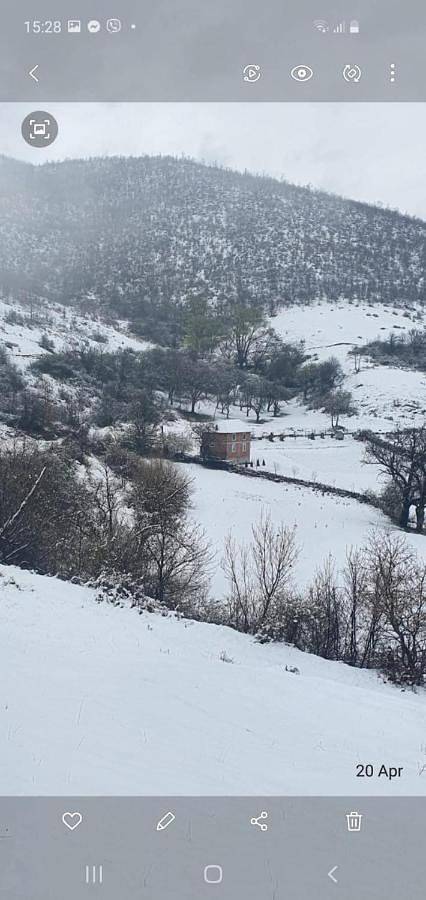 Camping für 4 Personen, mit Garten in Serbien - 4