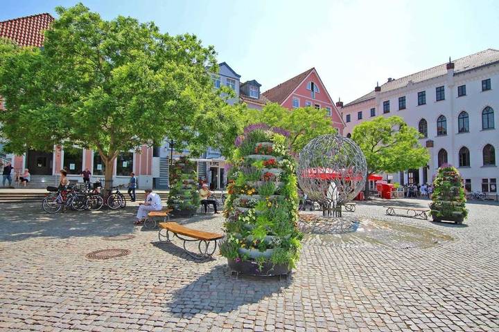 Ferienhaus für 4 Personen, mit Terrasse in Waren (Müritz) - 4