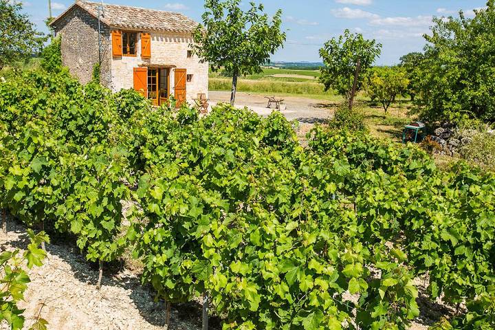 Casa de vacaciones «La Cabaña del Viñador» con piscina compartida, terraza privada y aire acondicionado in Donnazac, Región de Albi