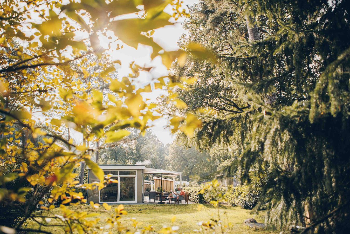 Landgoed Het Grote Zand — Boterbloem Wellness Chalet | 4 personen in Hooghalen, Drenthe