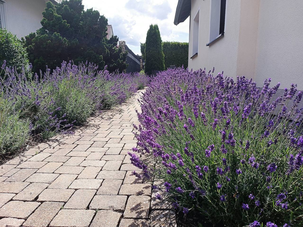 Ganze Wohnung, Ferienwohnung 'Sonnenblick Und Relax' mit privater Terrasse, Gemeinschaftsgarten und Wi-Fi in Sundern, Sorpesee