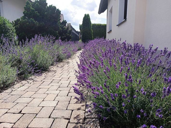 Ferienwohnung für 2 Personen, mit Garten, mit Haustier in Sundern - 2