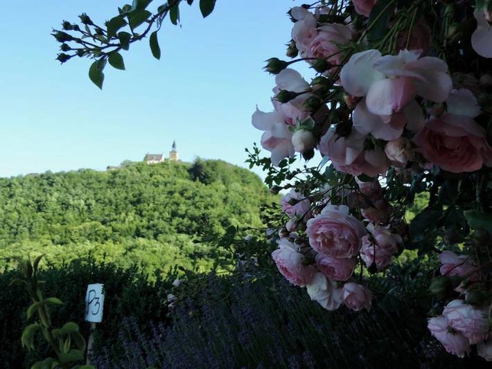 Chambre d’hôte pour 2 personnes, avec Terrasse ainsi que Jardin et Vue en Corrèze - 3