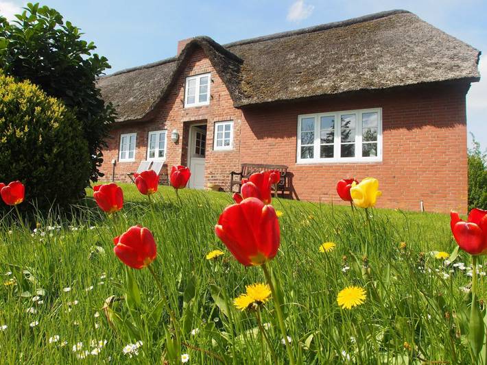 Ferienhaus für 8 Personen, mit Sauna und Terrasse sowie Garten und Ausblick, kinderfreundlich in Mittleres Nordfriesland - 2
