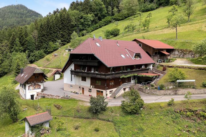 Studio für 2 Personen, mit Balkon und Garten in Bad Peterstal-Griesbach