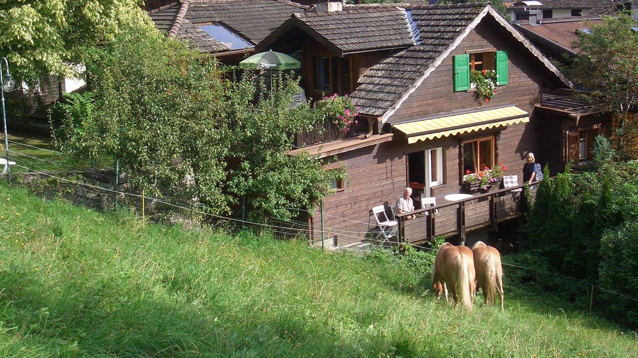 Ganze Ferienwohnung, Ferienwohnung für 3 Personen (45 m²) in Schruns in Schruns, Schruns-Tschagguns