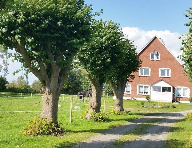 Ferienwohnung für 4 Personen, mit Garten, mit Haustier - 1
