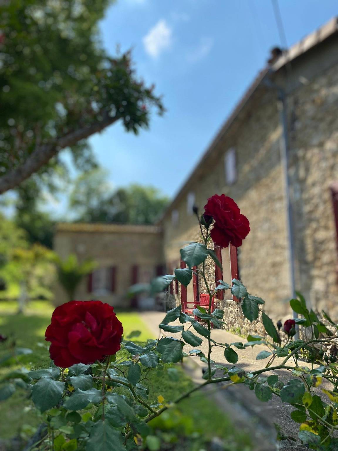 Entire holiday apartment, Holiday home in Pujols with shared pool in Pujols (Gironde), Libourne region