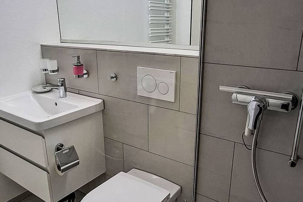 Apartamento entero, Apt C 033 by Interhome in Disentis, Surselva