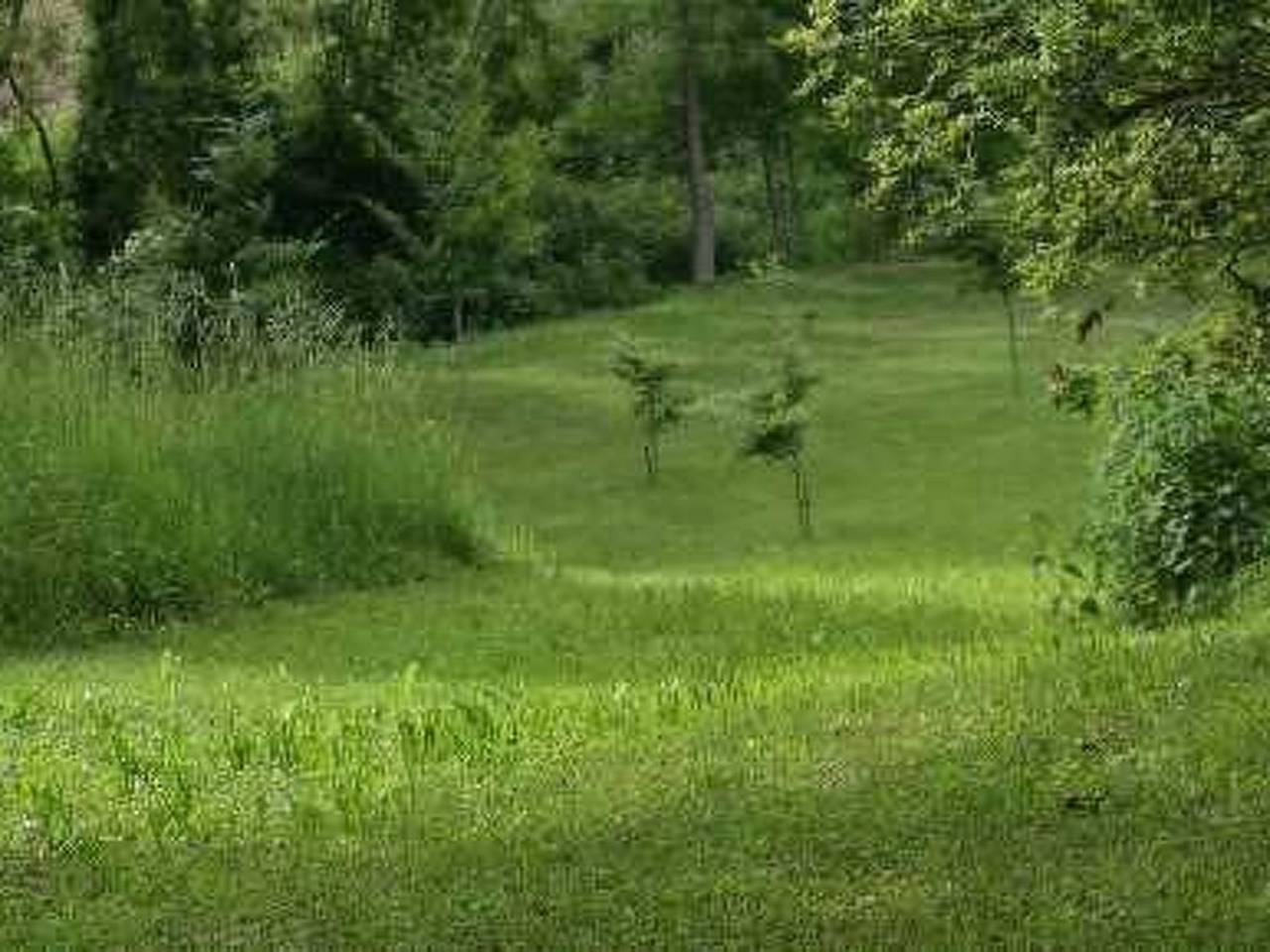 Appartement entier, El Paller in La Vall de Bianya, Garrotxa