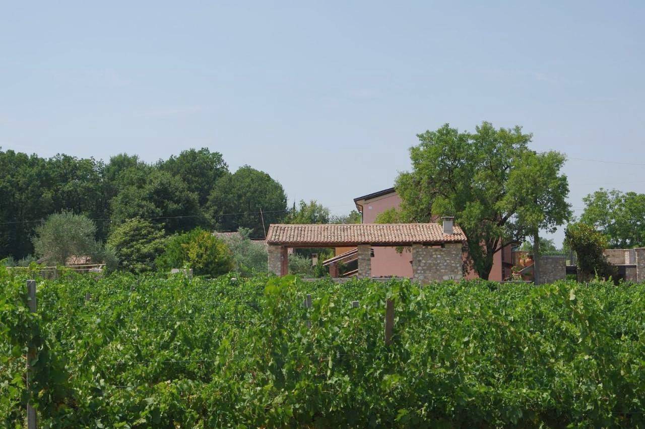 Monolocale intero, Agriturismo La Casa Del Mandorlo in Monzambano, Lago di Garda