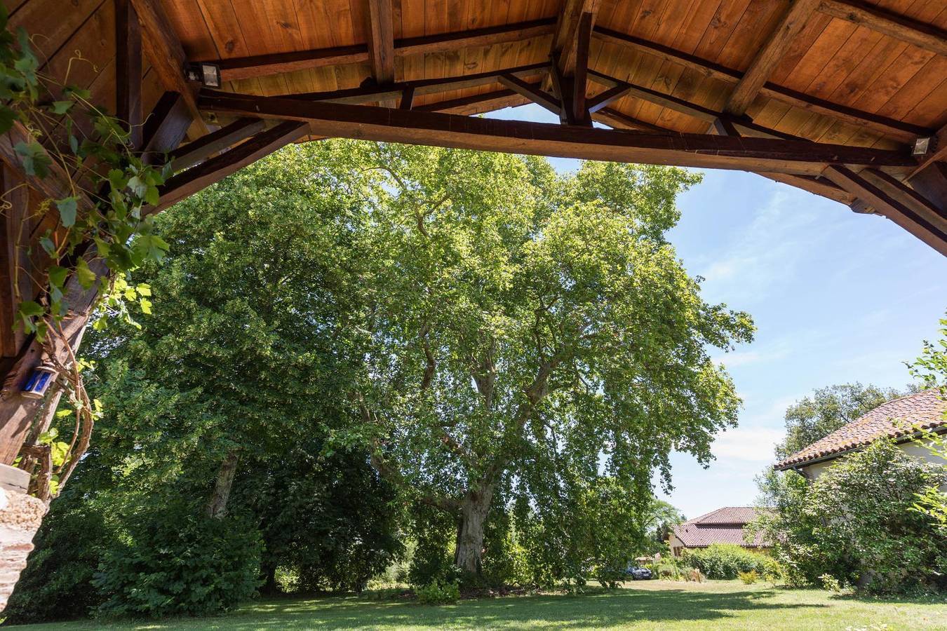 Gîte du platane in Bélis, Landes
