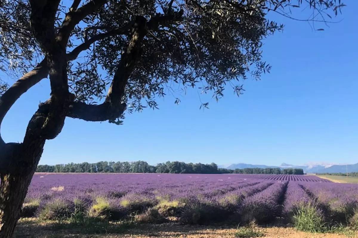 Studio entier, Studio pour 2 Personnes in Brunet (Alpes-de-Haute-Provence), Alpes-de-Haute-Provence