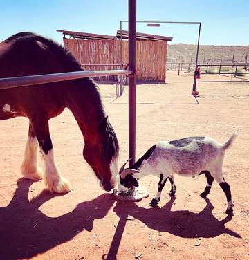Camping para 4 Personas en Grand Staircase Escalante National Monument, Condado de Kane, Foto 3