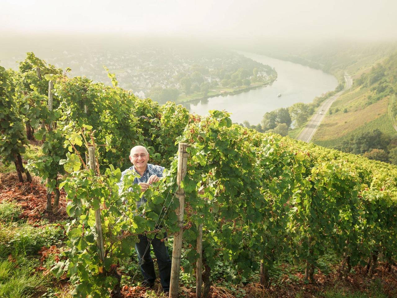 Ganze Ferienwohnung, Ferienwohnung Fuchsbau - Ferienwohnung Fuchsbau in Neumagen-Dhron, Bernkastel-Kues & Umgebung