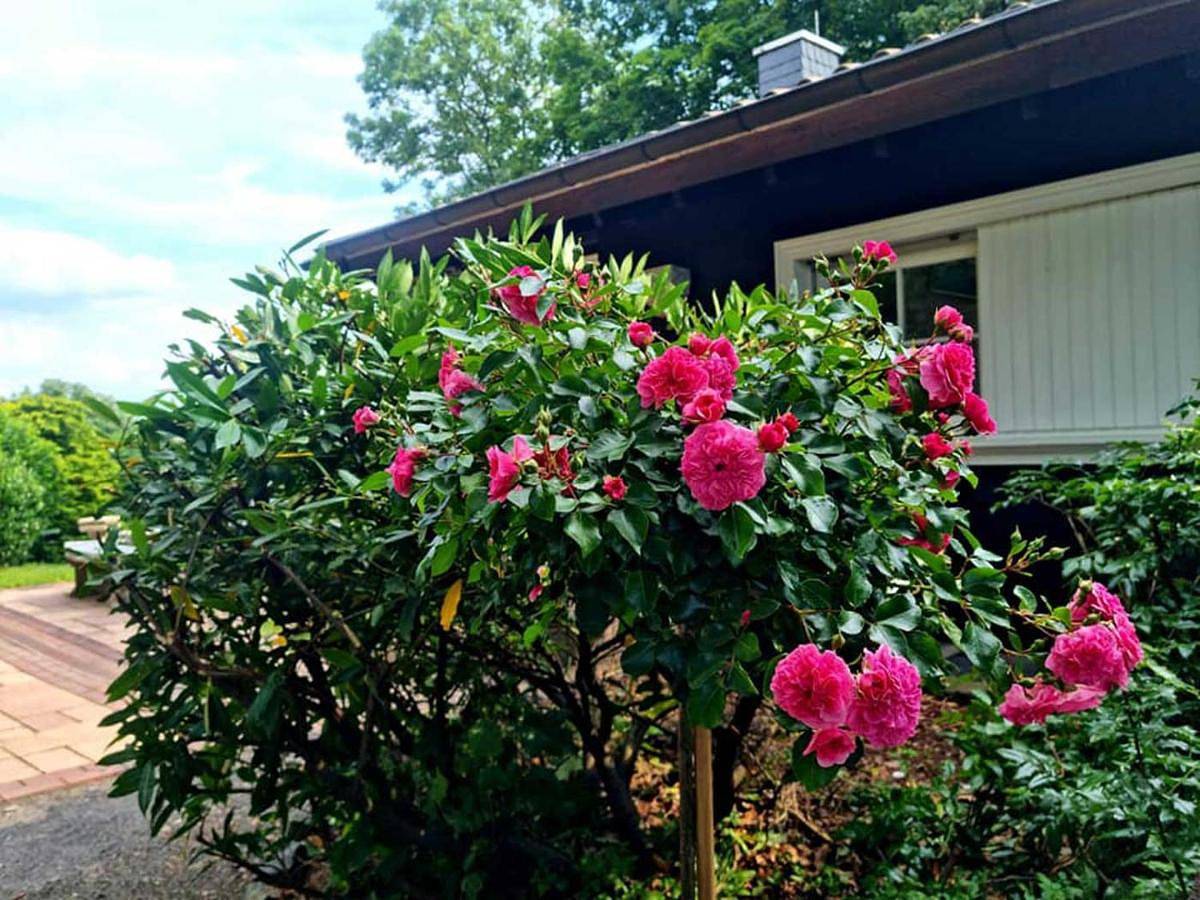 Three-Bedroom House in Schotten, Vogelsberg Region