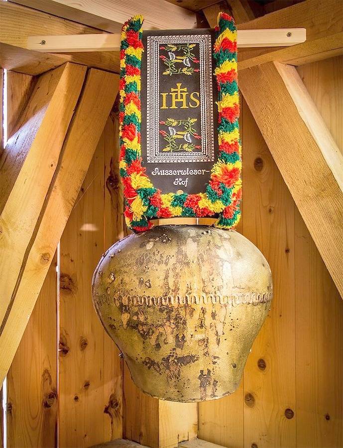 Vogelnest in Stubaier Alpen, Neustift im Stubaital