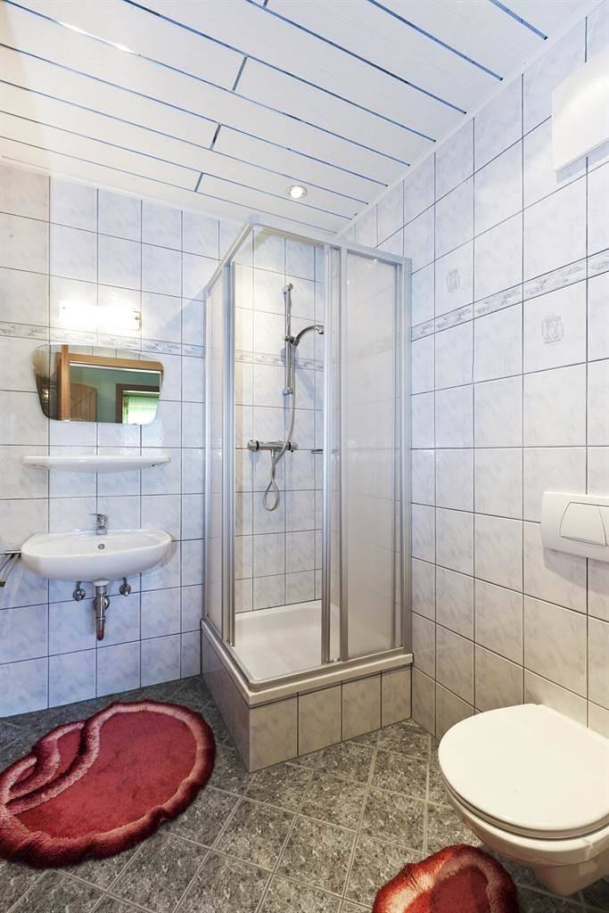 Entire holiday apartment, Ap./combined living-bed-room/shower, Wc in Pichl (Mariapfarr), Mariapfarr