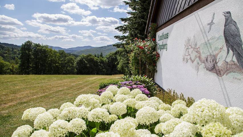 Hütte für 5 Personen, mit Terrasse und Garten sowie Sauna, mit Haustier an der Rhön - 3