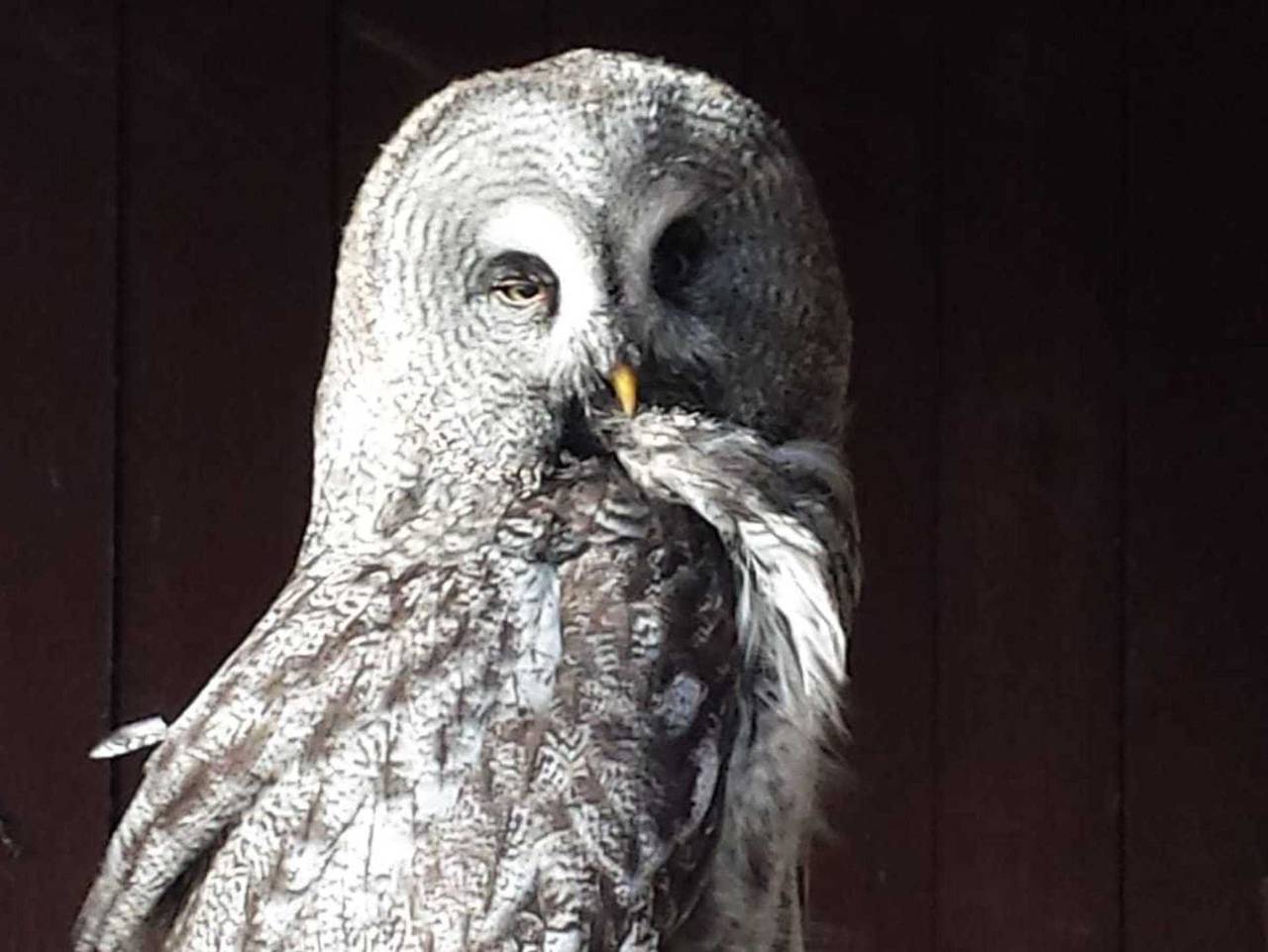 Design Ferienhaus Nienrausch mit 2 Apartments - Design Ferienhaus nienrausch mit 2 Apartments in Niendorf, Timmendorfer Strand