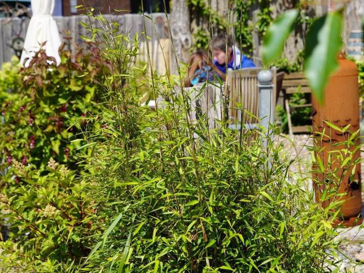 Ferienwohnung für 5 Personen, mit Garten und Sauna in Risum-Lindholm - 2