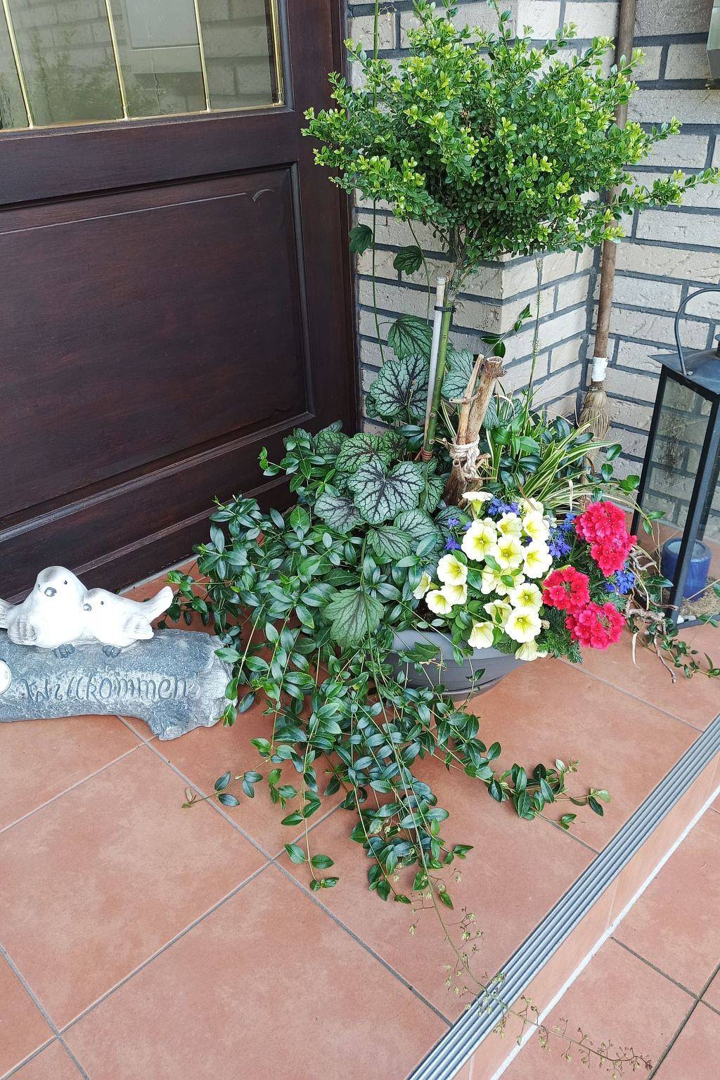 Ganze Wohnung, Zwei Finken in Wiesmoor in Wiesmoor, Nordseeküste