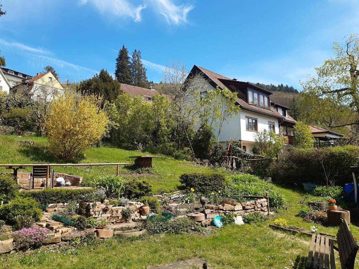 Double Room with Balcony in Ziegelhausen (Heidelberg), Heidelberg