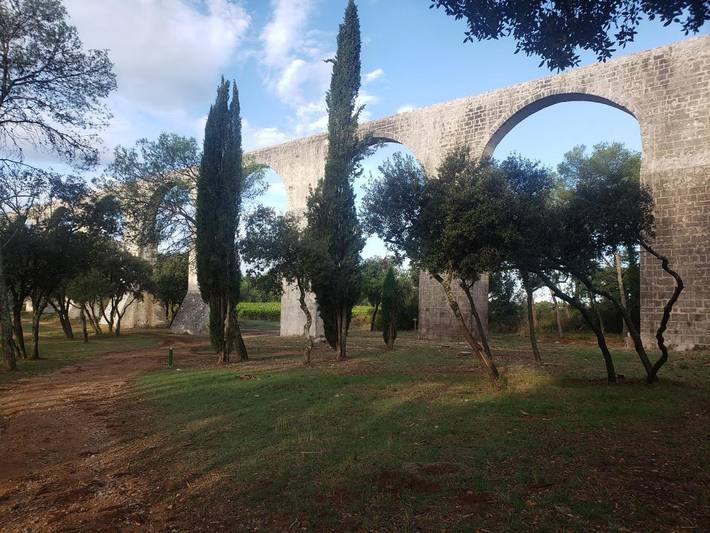 Location de vacances pour 8 personnes, avec vue et jardin, animaux acceptés à Castries - 4