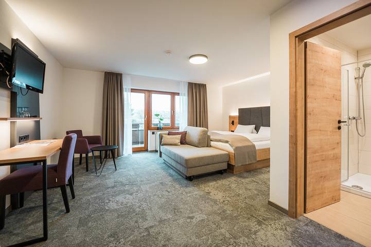 Hotel und Restaurant Goldener Engel - Doppelzimmer mit Dusche, 20 qm in Ihringen am Kaiserstuhl, Kaiserstuhl