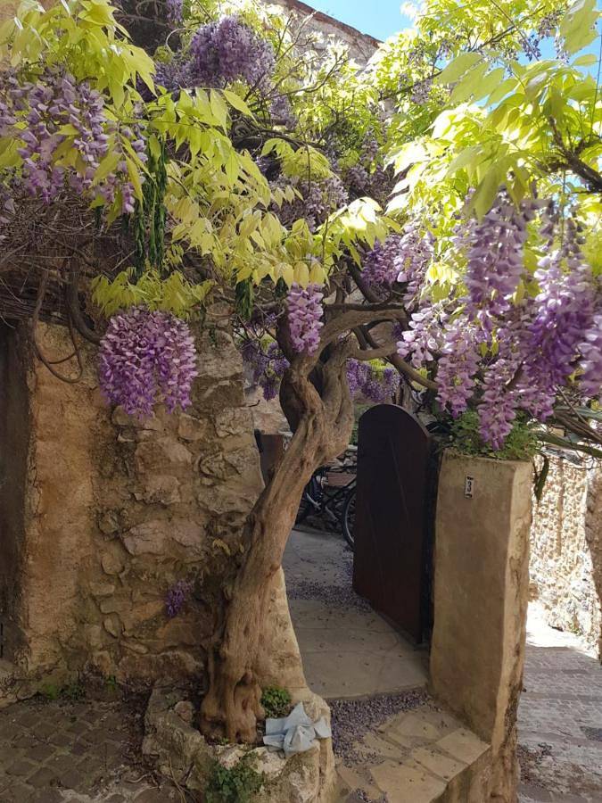 Location de vacances pour 5 personnes, avec vue ainsi que vue sur le lac et terrasse dans Office De Tourisme De Bauduen - 4