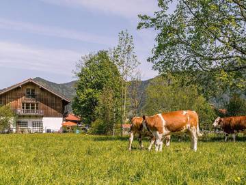 Hütte für 6 Personen in Brauneck, Lenggries, Bild 4