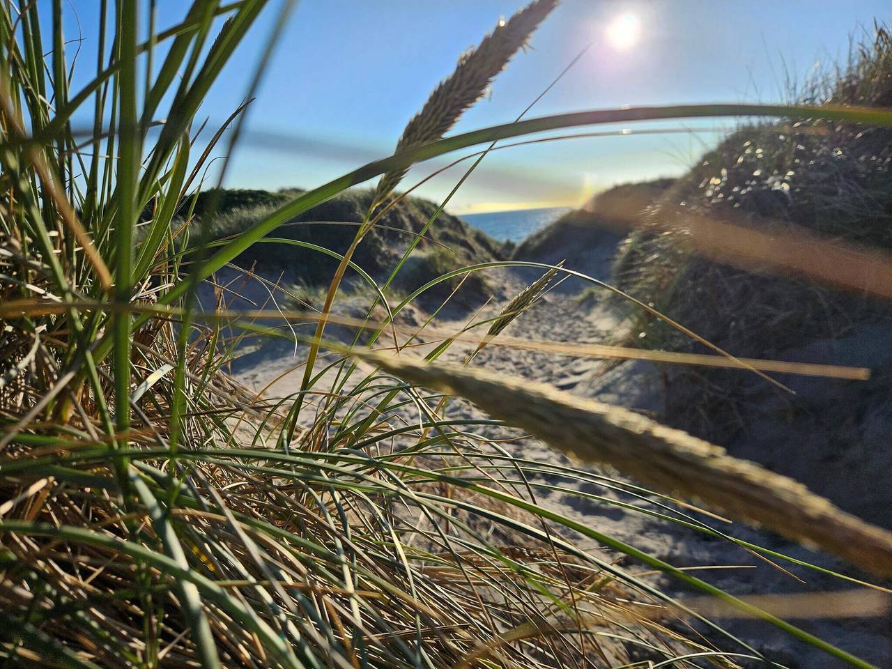 Helles Sommerhaus am Meer -- By Traum Ferienwohnungen in Søndervig, Holmsland Klit