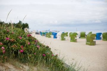 Ferienwohnung für 2 Personen, mit Garten in Wyk auf Föhr