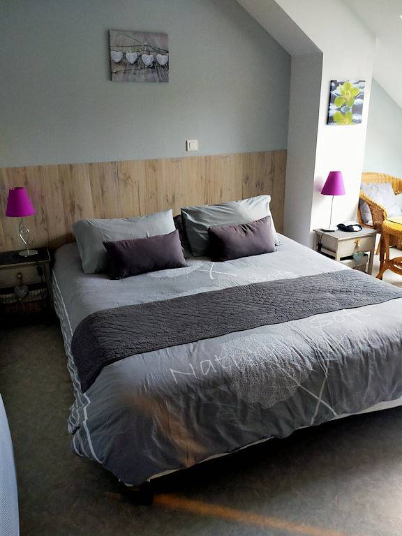 Studio pour 3 personnes, avec terrasse et jardin dans Loiret - 2